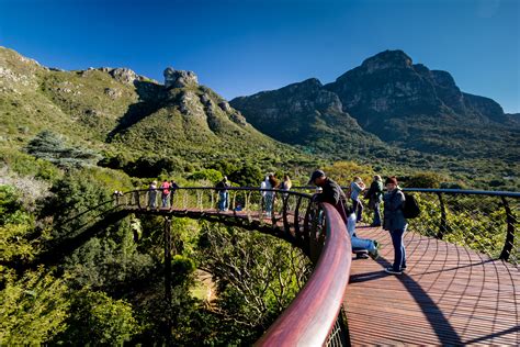 Le Jardin botanique de Kirstenbosch: Un havre de paix vert dans la ville du Cap !